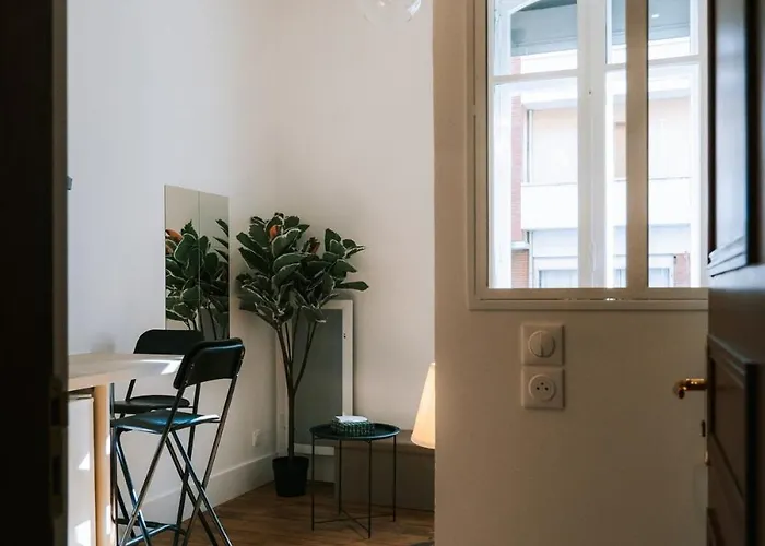 L 'haussmannien - Chic - Gare - Metro - Centre * تولوز